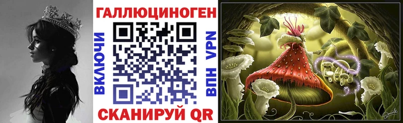 Галлюциногенные грибы Psilocybine cubensis  Власиха 
